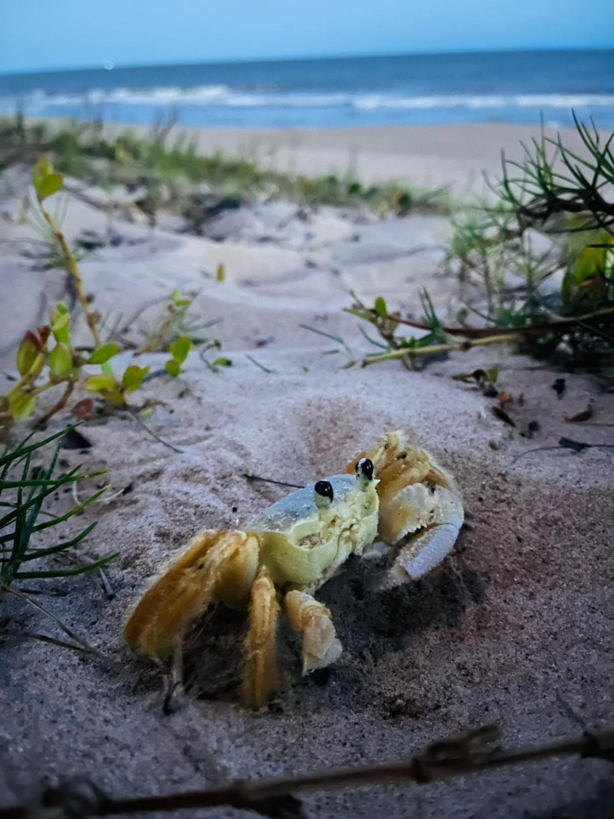 Franz Beach Nova Vicosa Ngoại thất bức ảnh