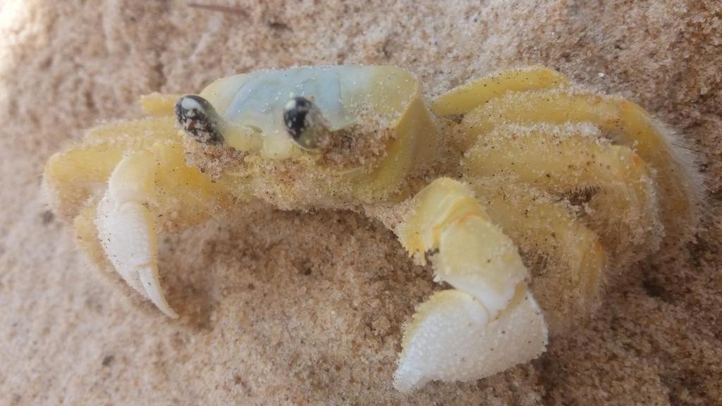 Franz Beach Nova Vicosa Ngoại thất bức ảnh